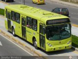 Metrolinea P1019, por Joseba Mendoza