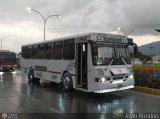 Transporte El Esfuerzo 31