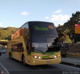 Expresos Primavera 033, por Alvin Rondn