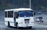 A.C. de Transporte Nmero Uno R.L. 033