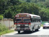 Autobuses de Tinaquillo 16, por Pablo Acevedo