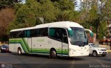 Buses Yanguas
