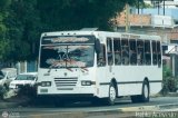 Transporte Carache 07