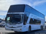 Expresos Flamingo 2020 por Josue S�nchez