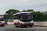 A.C. Unin Guanare 053