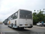 Servipullman Carabobo C.A. 04, por Orqudea Hernndez