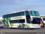 Expresos Flamingo 0183, por Andy Pardo
