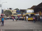 Garajes Paradas y Terminales San-Cristobal, por Freddy Salas