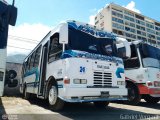 A.C. de Transporte N�mero Uno R.L. 024, por Gabriel Vergara