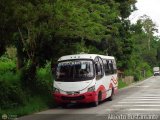 Lnea Unin Tovar Santa Cruz