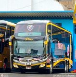 Transporte Flores Hermanos S.R.L (Per)