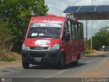 Bus Taguanes