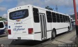 Transporte El Esfuerzo 08