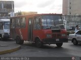 NE - Lnea Nueva Cdiz