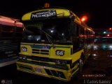 Transporte Colectivo Palo Negro 066