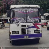 Transporte Privado Joaranny 196, por Dilan Noguera