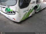 Expresos Flamingo 0116