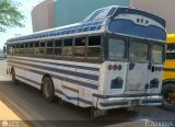 Colectivos Guasare C.A 08, por El Niobs