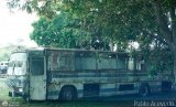 En Chiveras Abandonados Recuperaci�n 