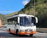 Coop. Transporte Menca de Leoni 119